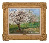 Pommier en fleurs