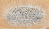 Mark Tobey, (American, 1890-1976), Untitled, 1968