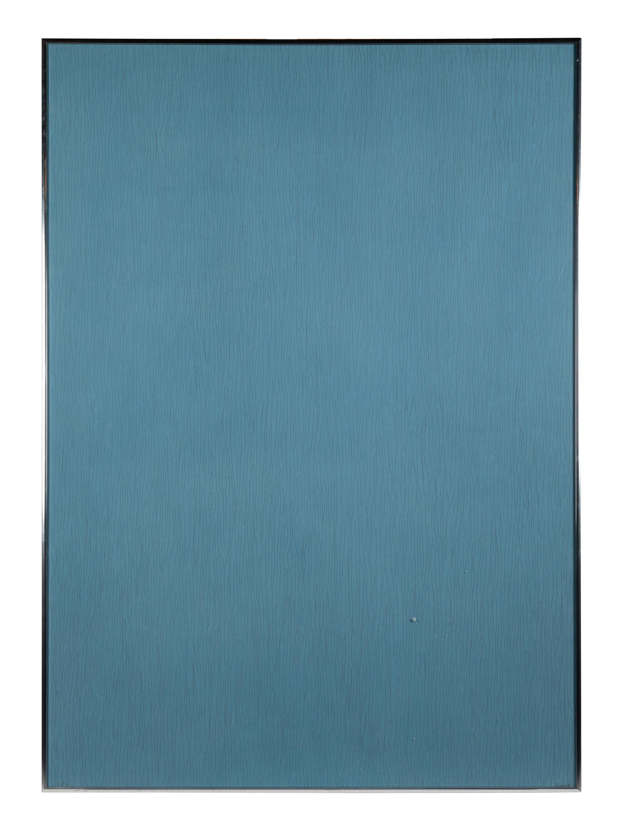 Vertical Lines Not Straight Not Touching on Color (plate numbers 1, 2, and 5 from the portfolio of six)