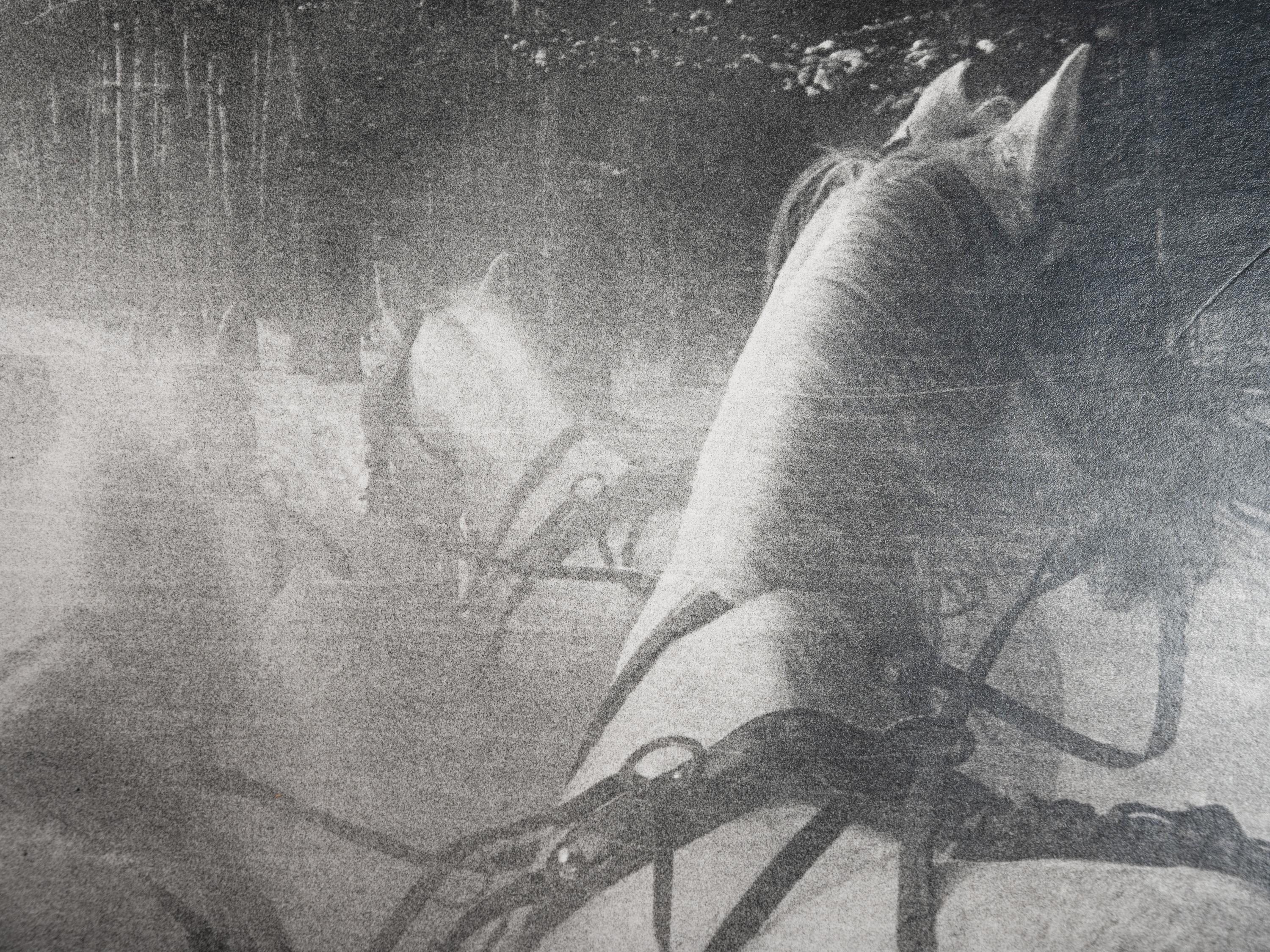 Horse Drawn Sleigh, South of Moscow