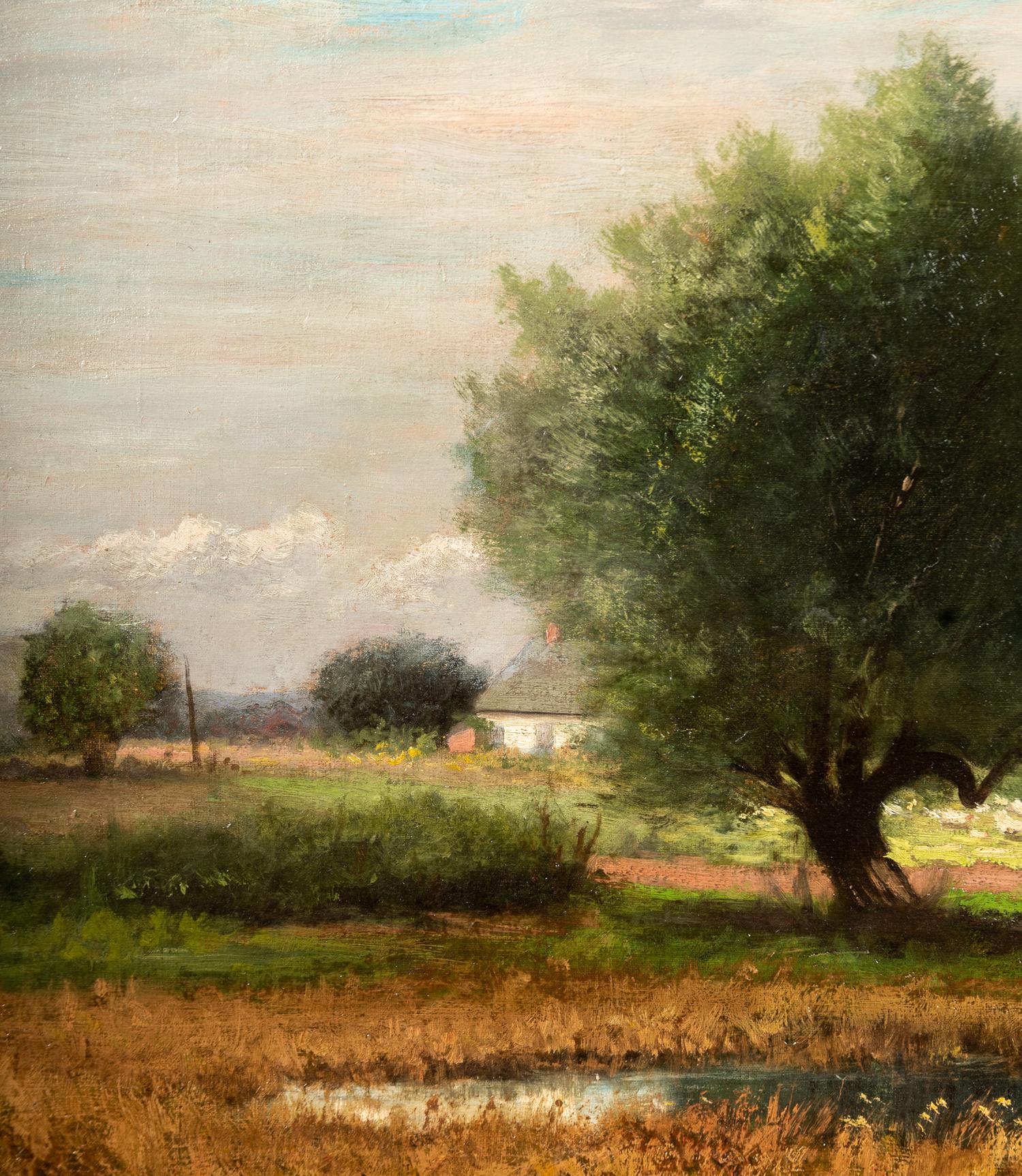 Pond and Pasture