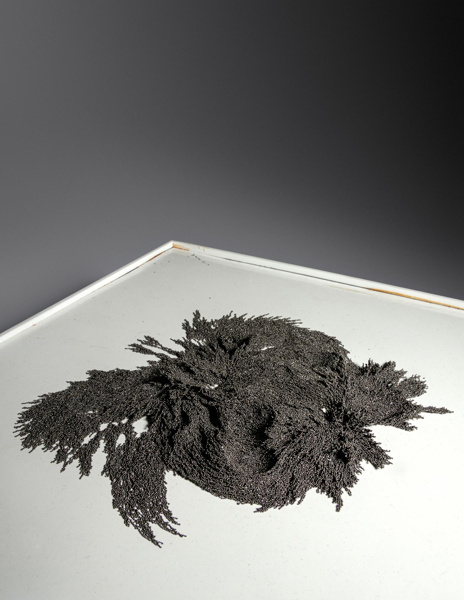 Magnetic Sandbox and Magnetic Sandbox from Toys by Artists