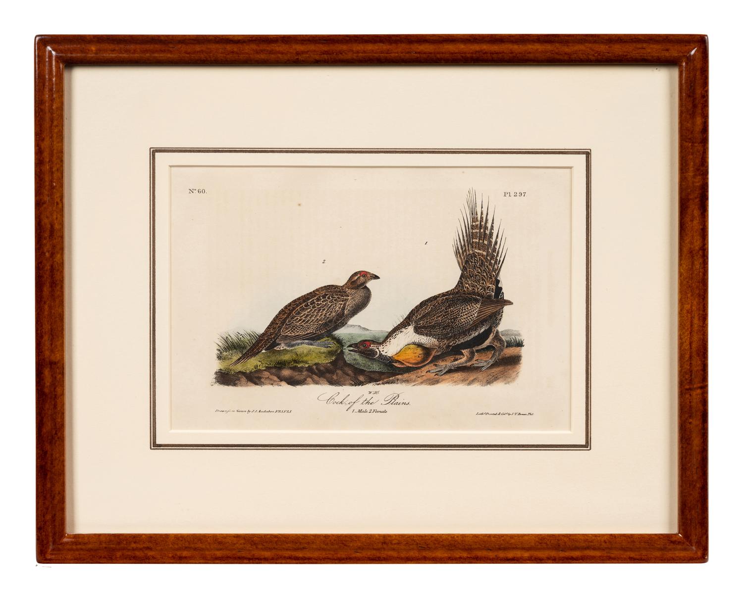 Grouped, see item 1 | A Group of Four Prints of Ground Fowl and Woodpeckers, after John James Audubon (1785-1851)