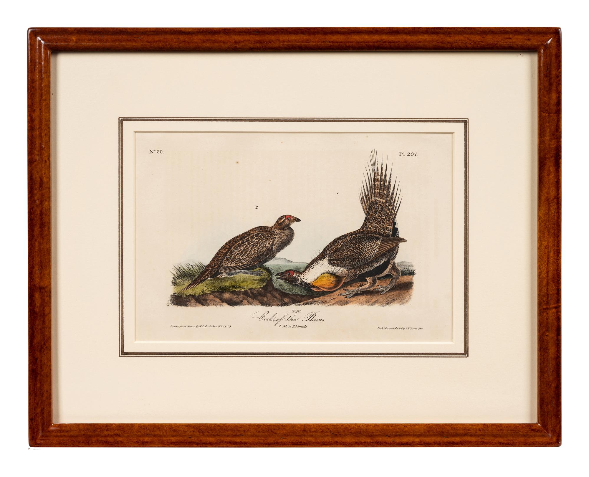 Grouped, see item 1 | A Group of Four Prints of Ground Fowl and Woodpeckers, after John James Audubon (1785-1851)