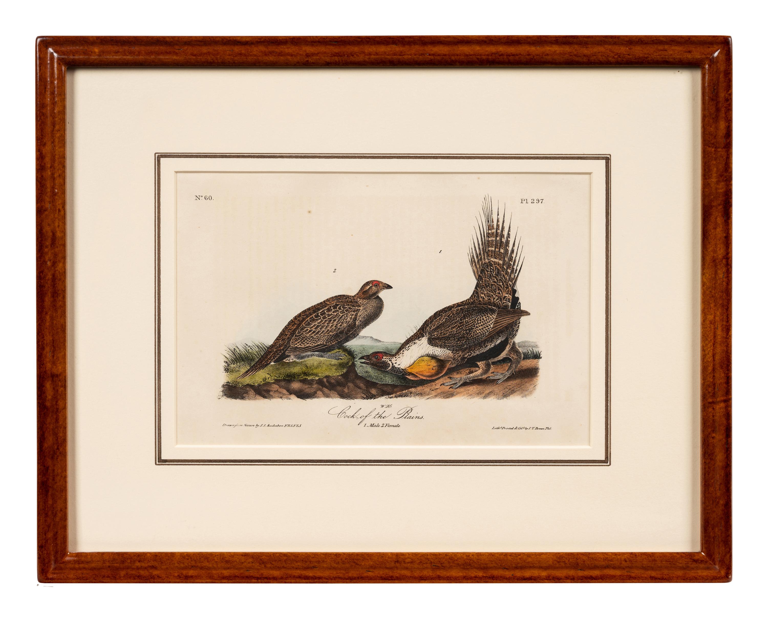 Grouped, see item 1 | A Group of Four Prints of Ground Fowl and Woodpeckers, after John James Audubon (1785-1851)
