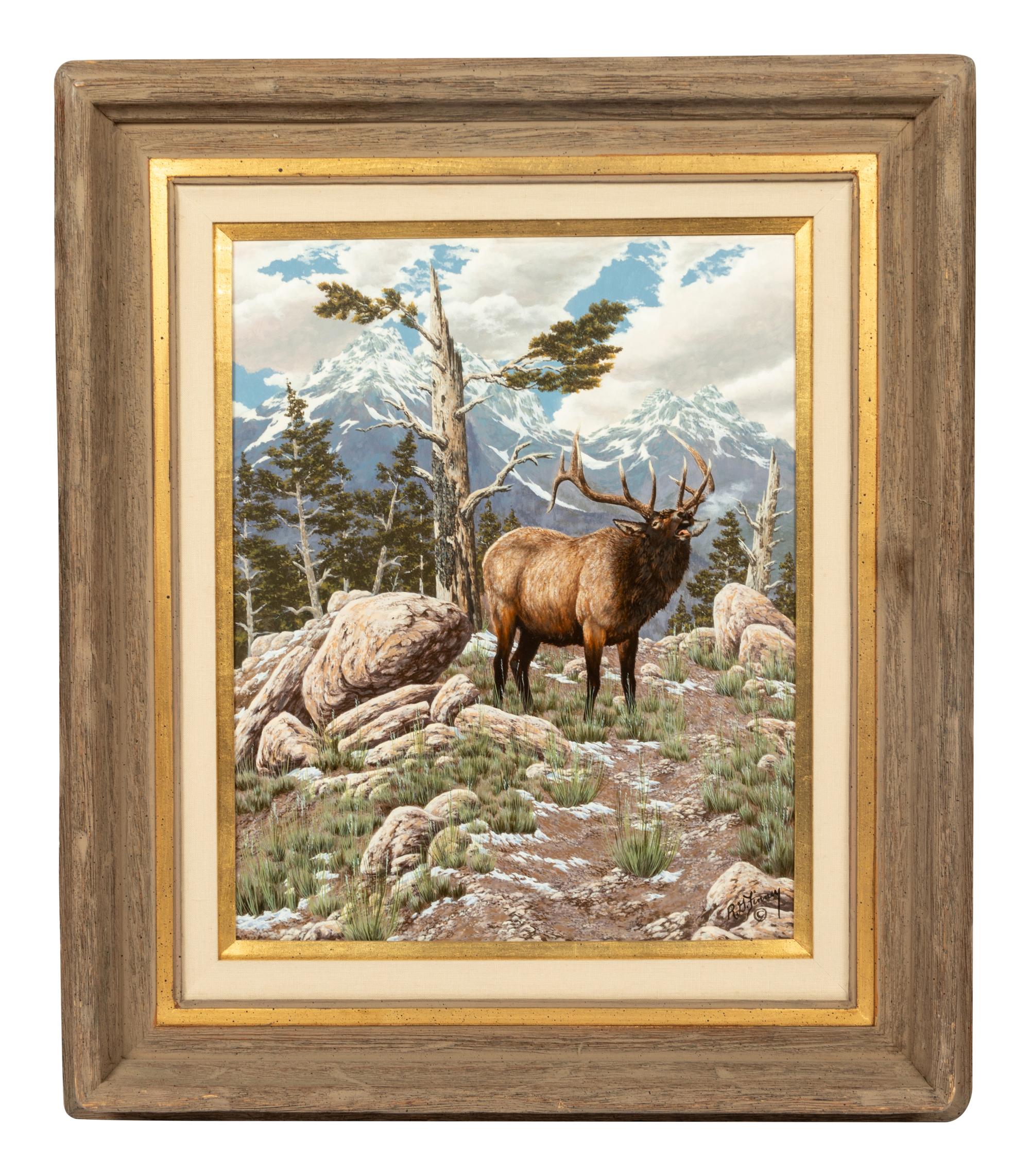High Country Bugle
