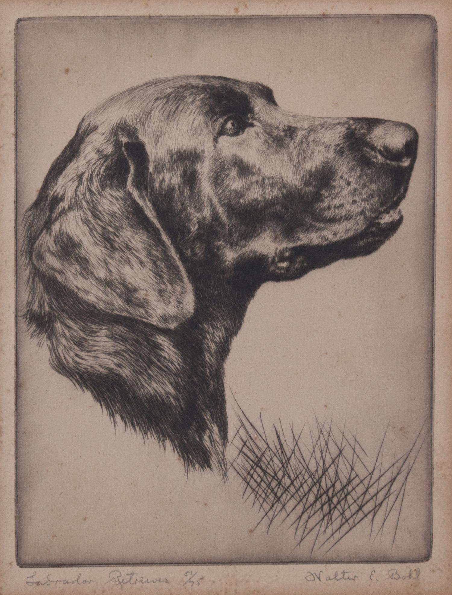 Walter Bohl, (American, 1907-1990), Labrador Retriever, Irish Setter, and Coming Over (three works)