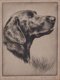 Walter Bohl, (American, 1907-1990), Labrador Retriever, Irish Setter, and Coming Over (three works)