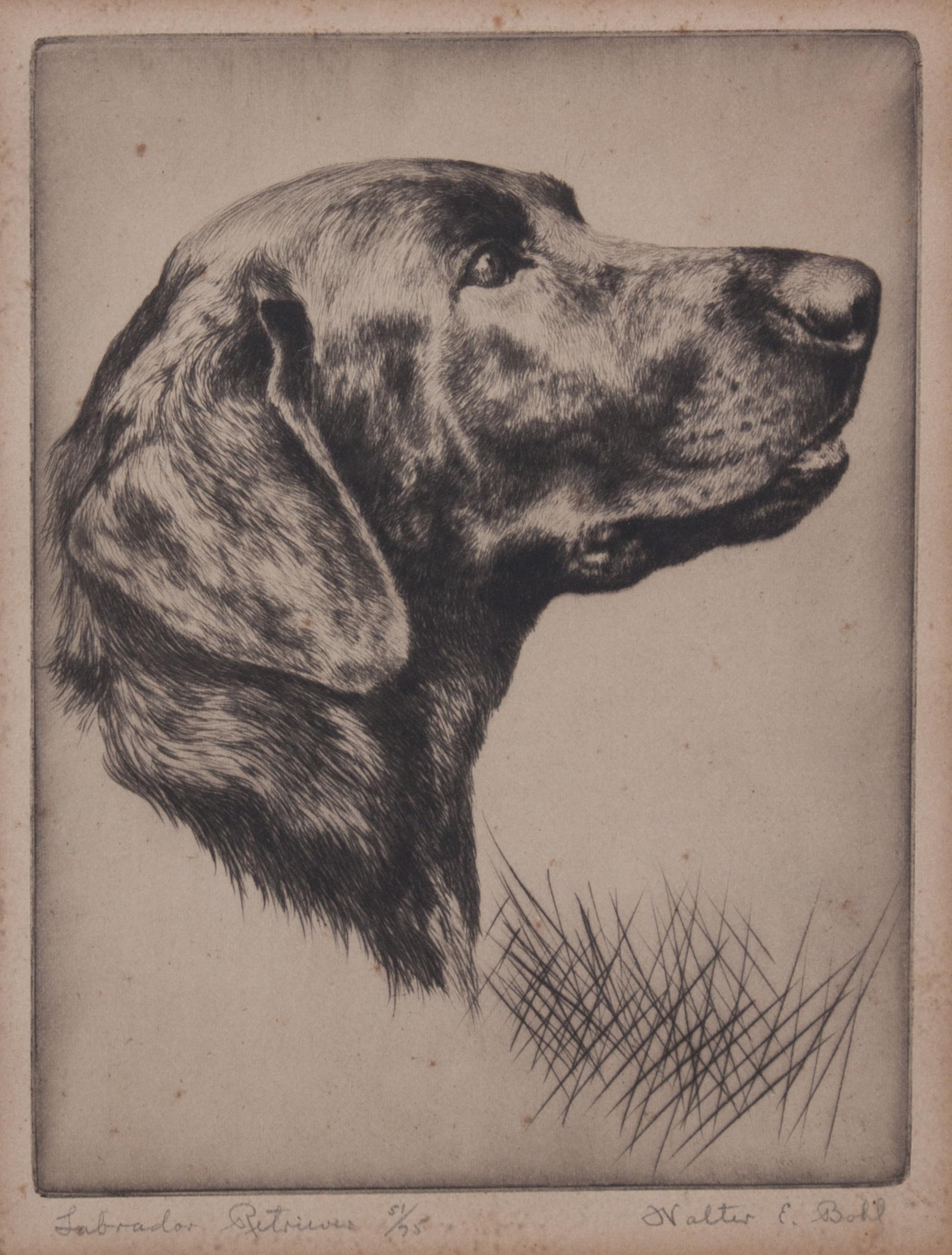 Walter Bohl, (American, 1907-1990), Labrador Retriever, Irish Setter, and Coming Over (three works)