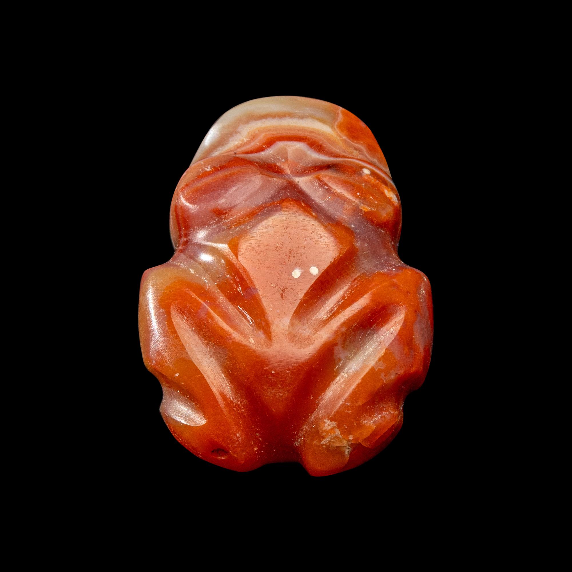 A Costa Rican Carnelian Frog Pendant