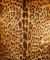 A George III Style Mahogany Wing Chair with Leopard Print Upholstery