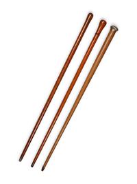Three Walking Sticks