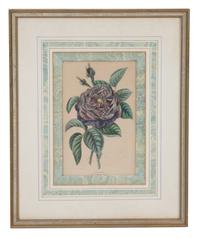 A Collection of Twelve Botanical Engravings Largest framed dimensions 27 x 9 inches. — 19TH/20TH CENTURY