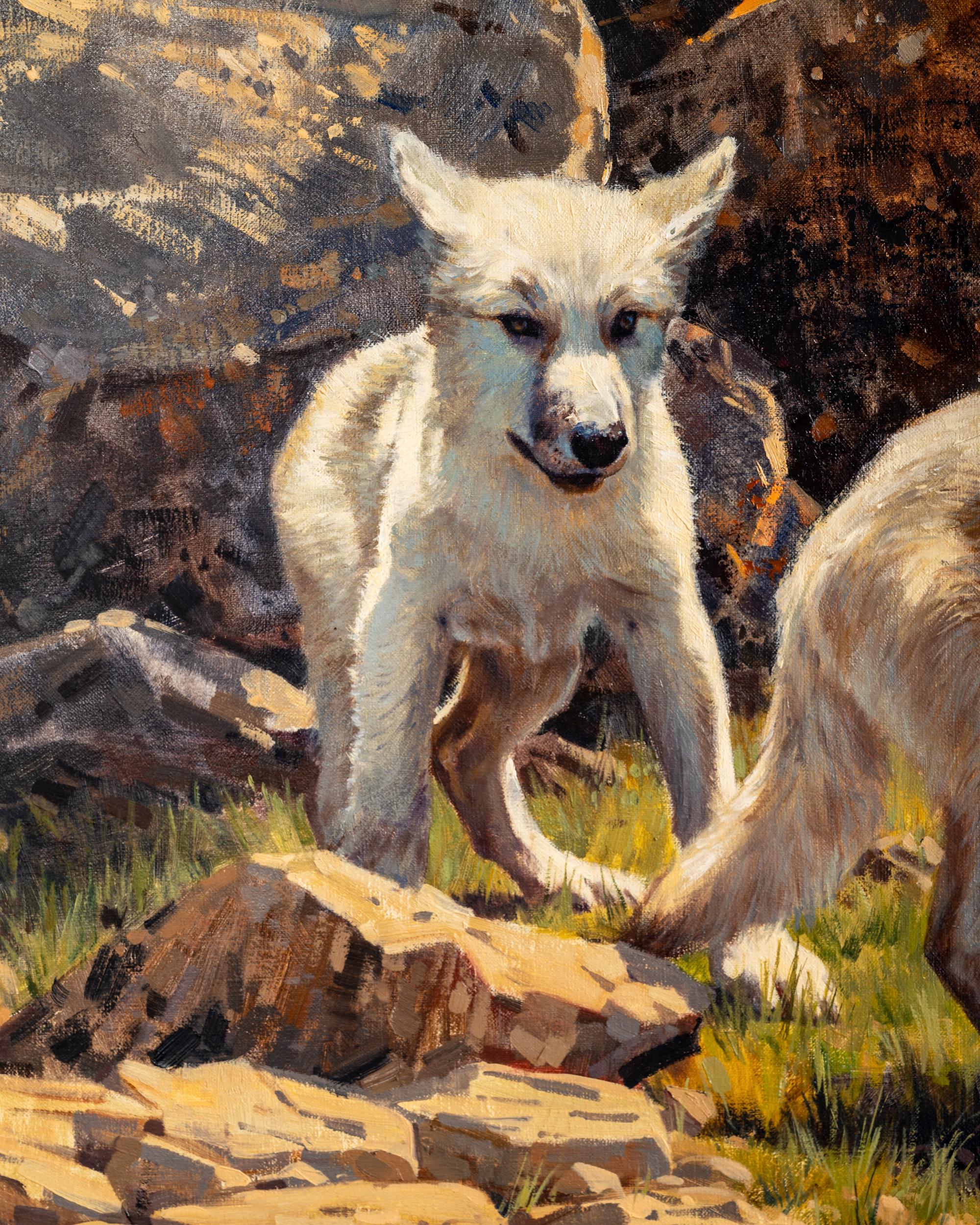 Arctic Wolf Pups