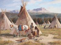 High Country Camp