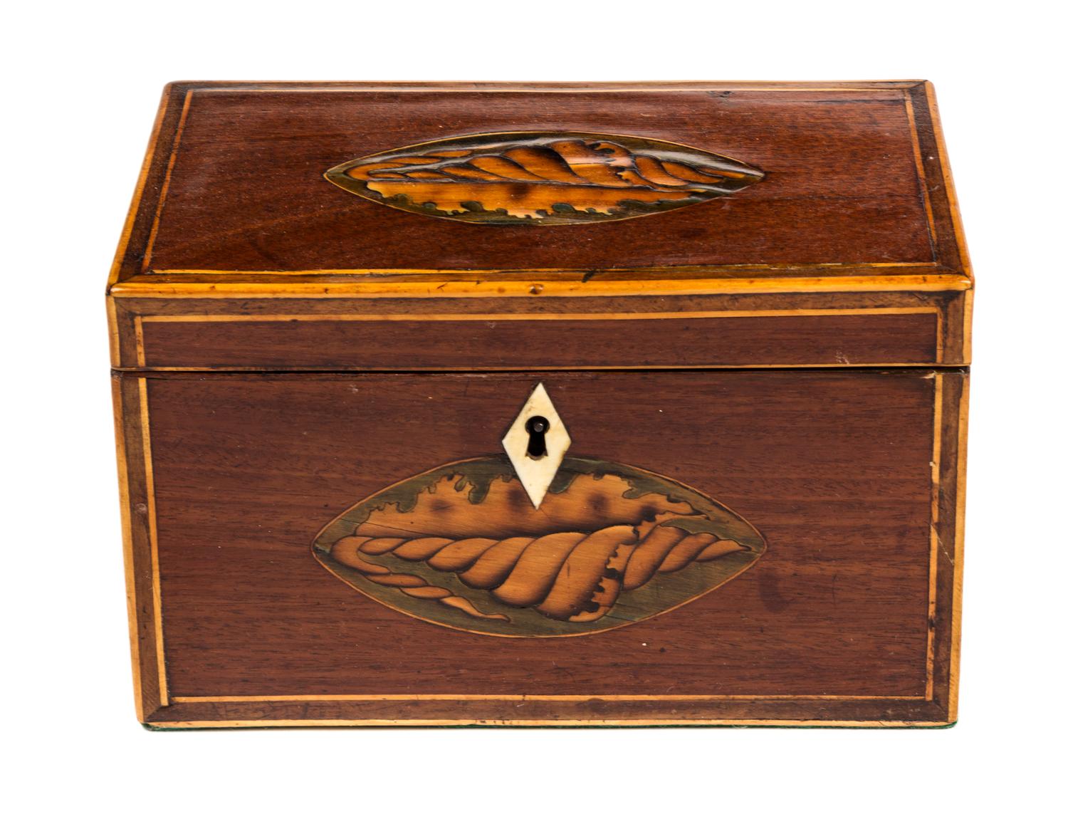 An English Tea Caddy Width 7 1/2 inches.