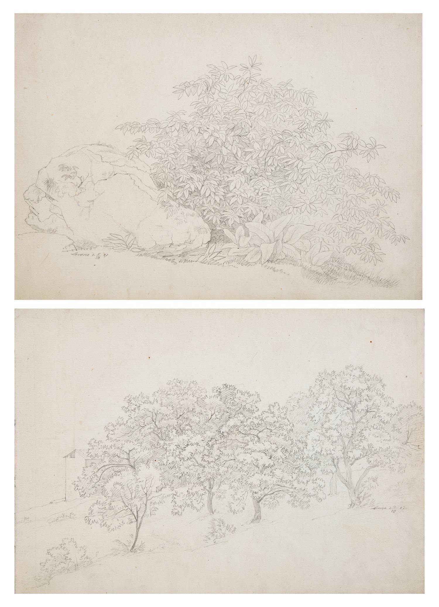 Plant Study with Boulder in Lovere and Landscape in Lovere (two works)