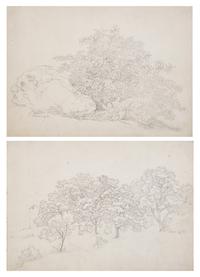 Plant Study with Boulder in Lovere and Landscape in Lovere (two works)