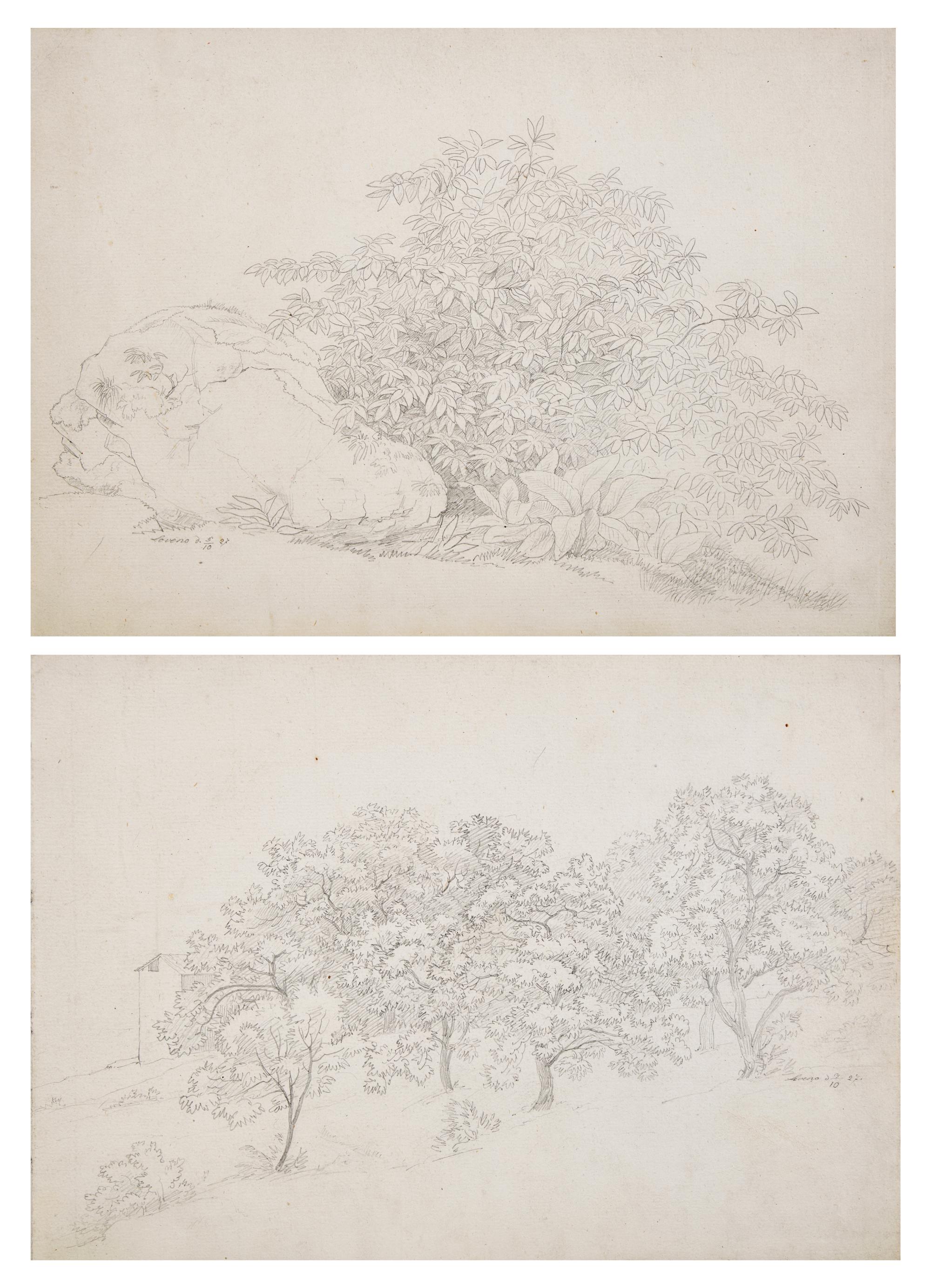Plant Study with Boulder in Lovere and Landscape in Lovere (two works)