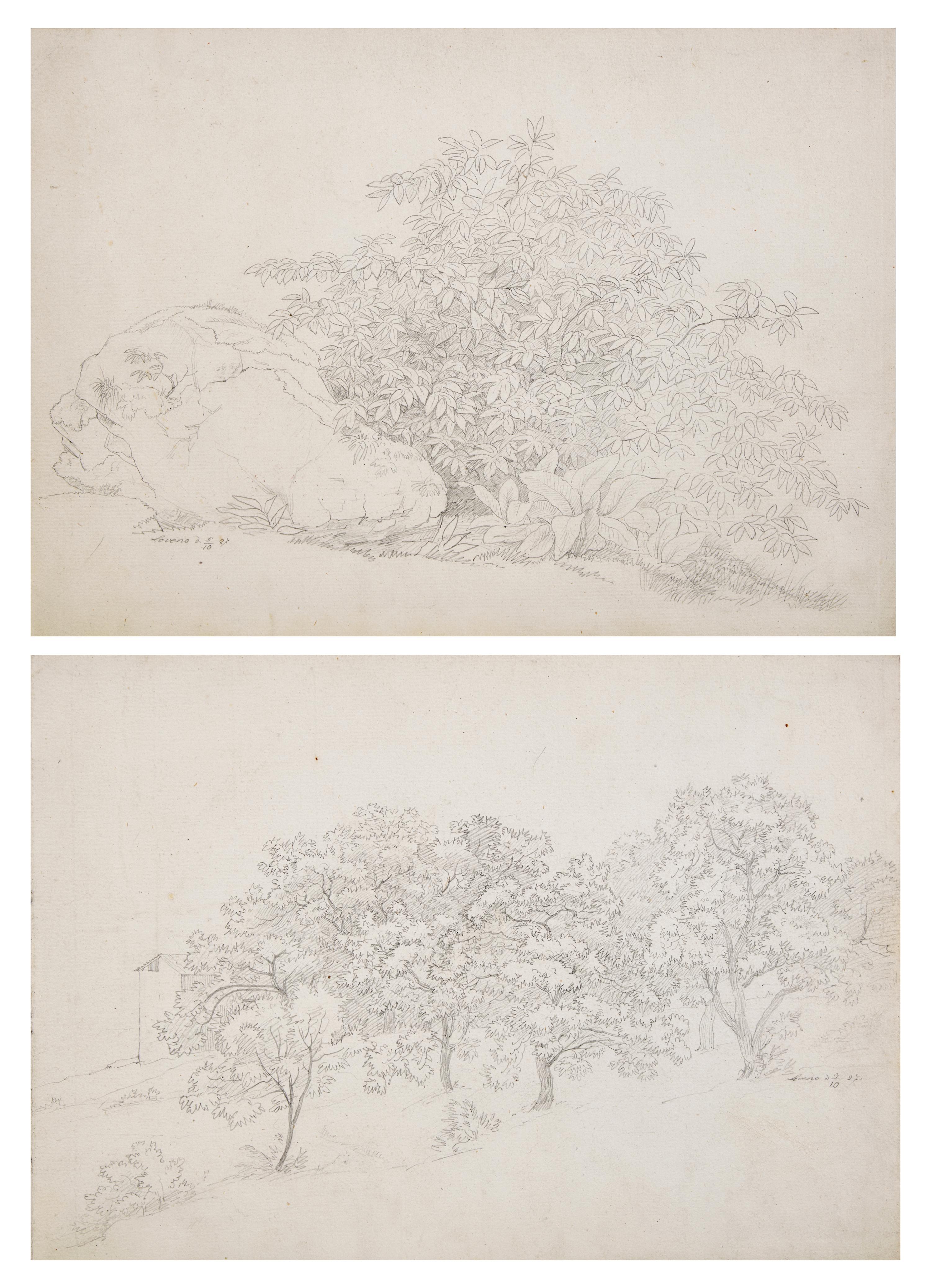 Plant Study with Boulder in Lovere and Landscape in Lovere (two works)