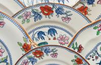 A Booths Parrot Ceramic Dinner Service