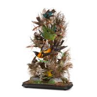 A Victorian Bird Taxidermy Diorama