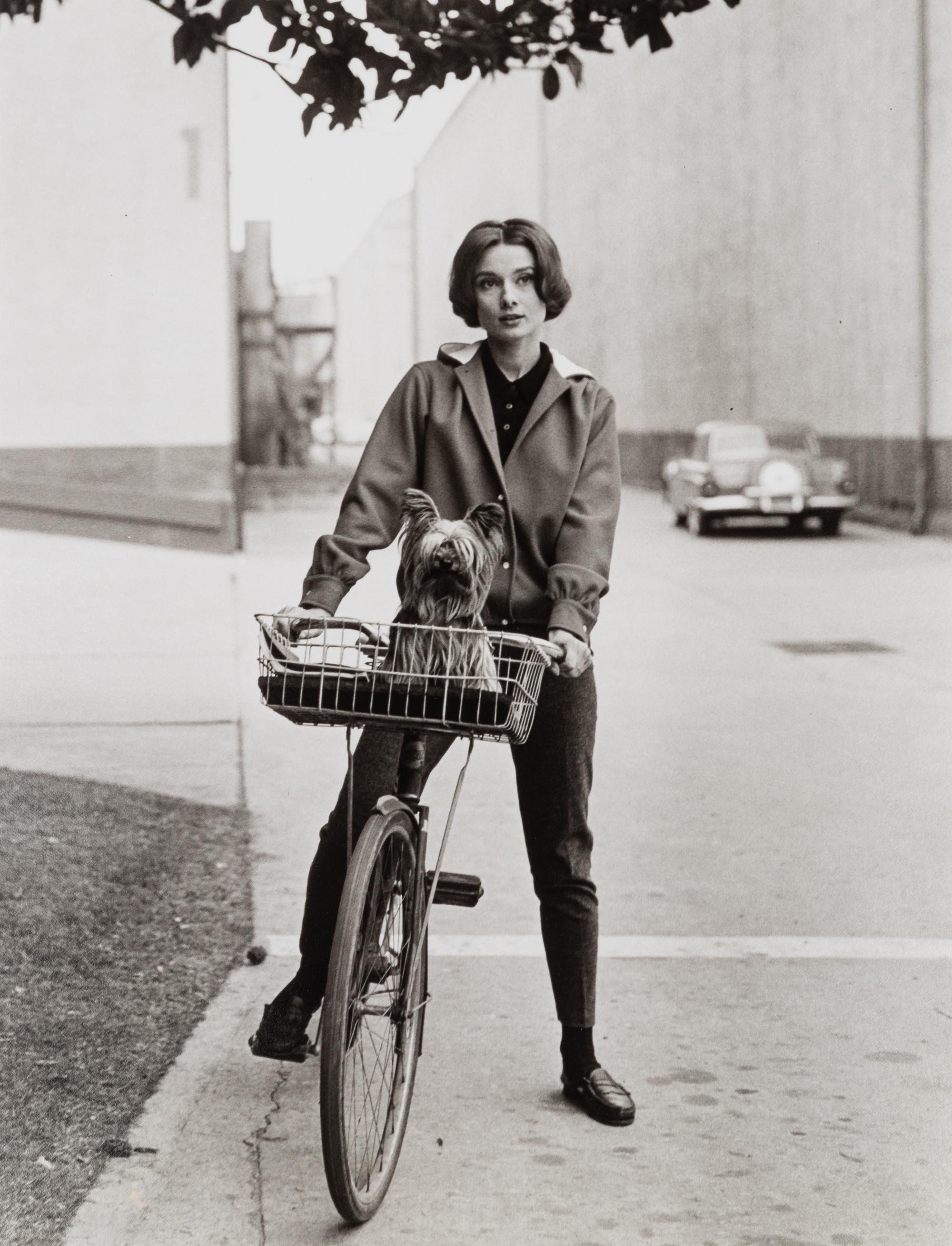 Sid Avery (1918-2002) Audrey Hepburn on her bicycle with her dog "Famous" at Paramount Studios, Los Angeles, CA, 1957