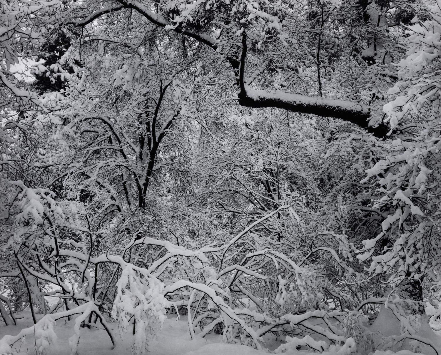 Ansel Adams (1902-1984) Portfolio VI, 1974