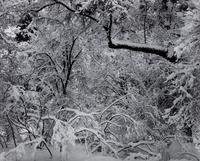 Ansel Adams (1902-1984) Portfolio VI, 1974