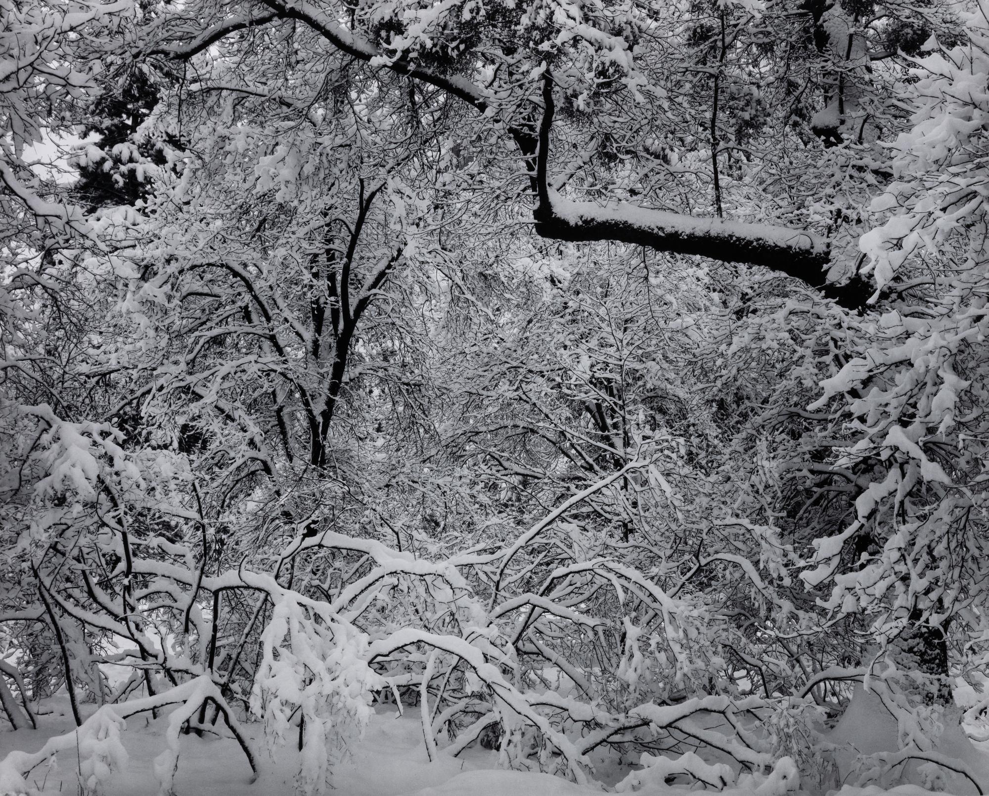 Ansel Adams (1902-1984) Portfolio VI, 1974