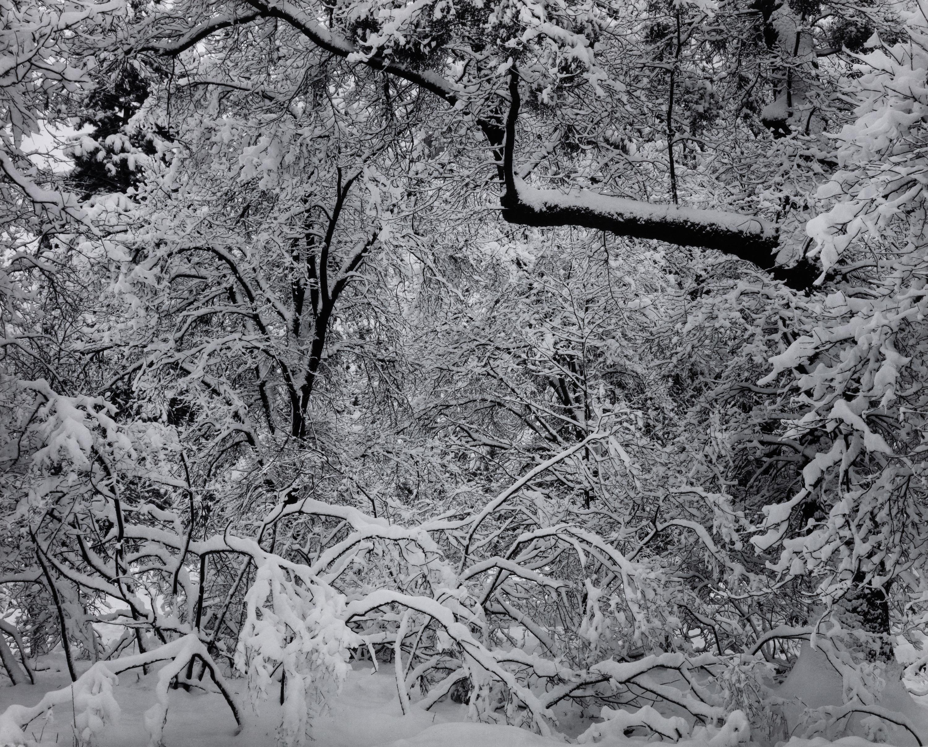 Ansel Adams (1902-1984) Portfolio VI, 1974