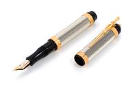 A Visconti Camelot Limited Edition Fountain Pen