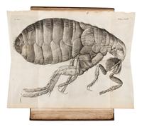 HOOKE, Robert (1635-1702). Micrographia: Or Some Psychological Descriptions of Minute Bodies Made by Magnifying Glasses . London: for James Allestry, 1667.