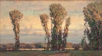 Evening Cottonwoods