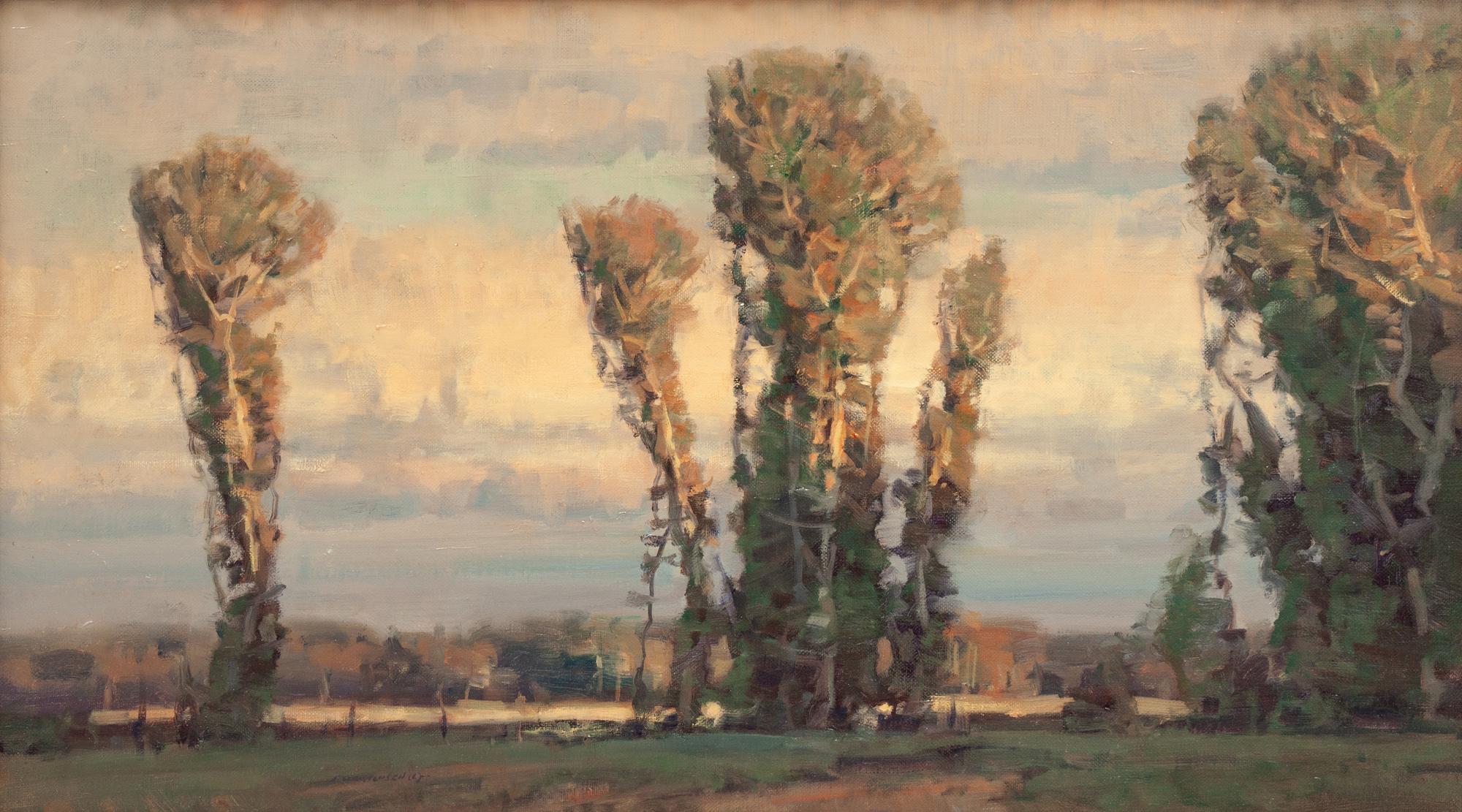 Evening Cottonwoods