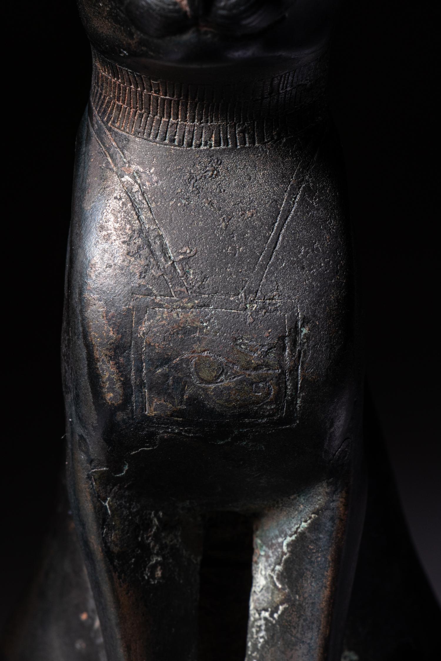 An Egyptian Bronze Cat