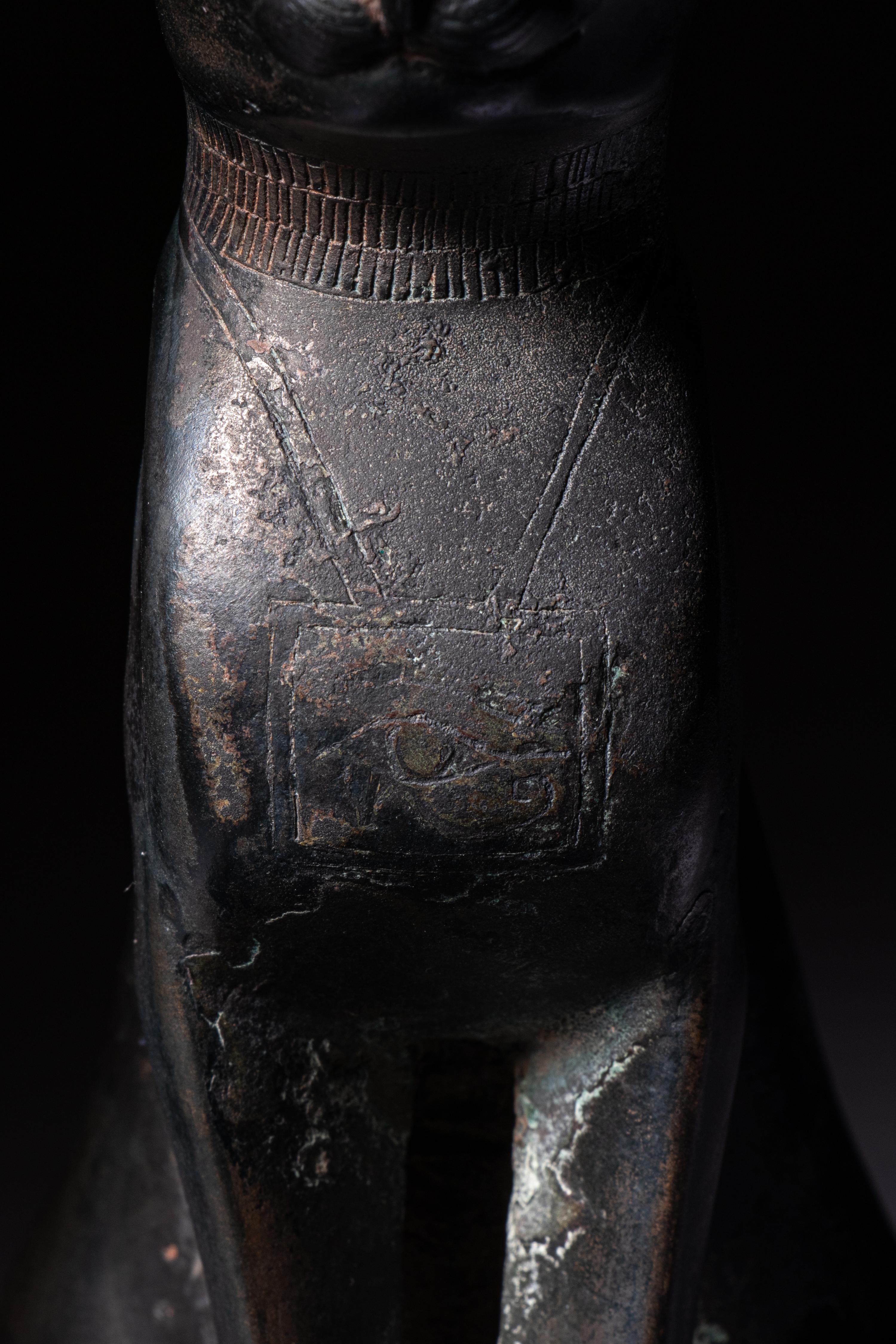 An Egyptian Bronze Cat