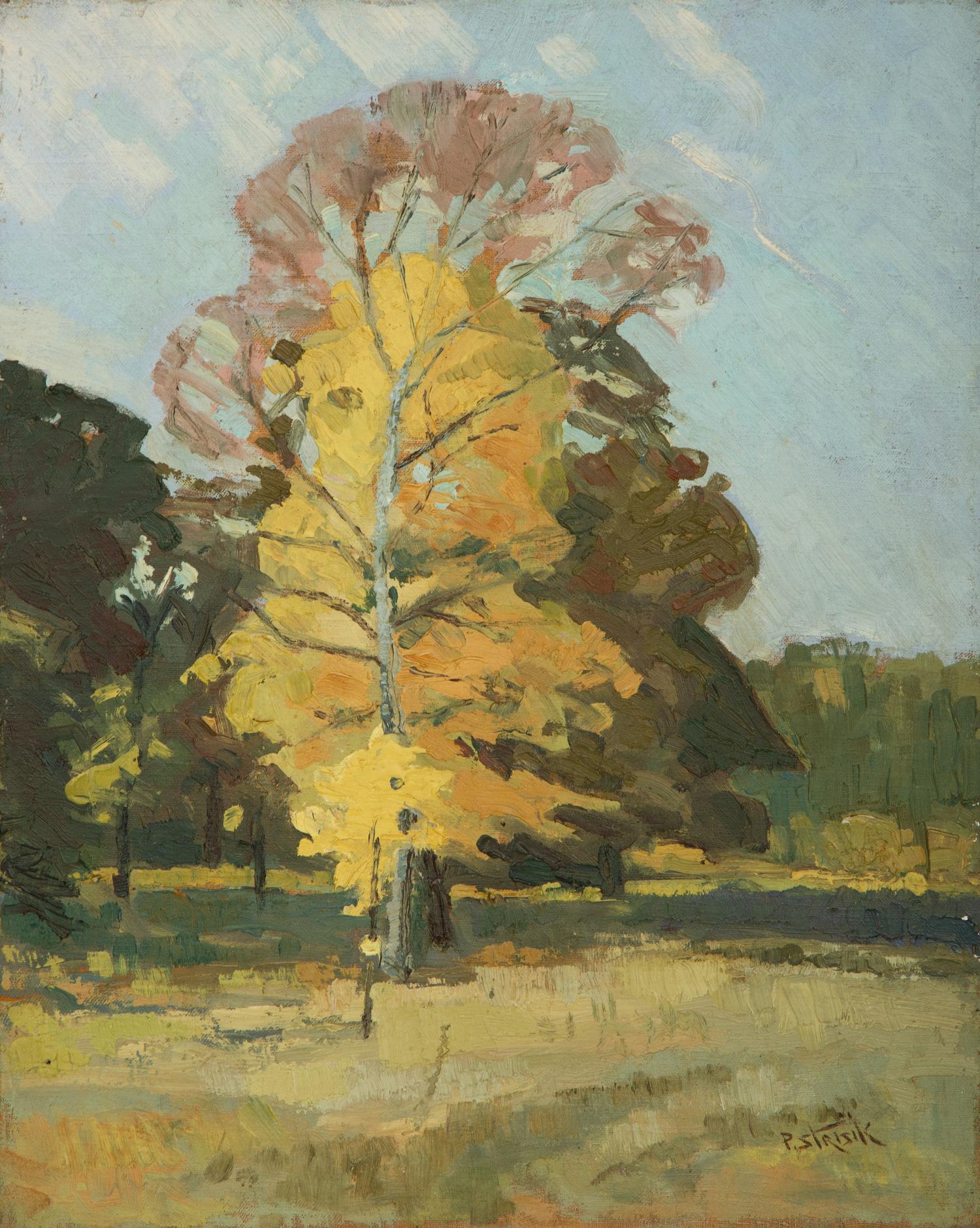 Sunny Landscape