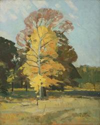 Sunny Landscape