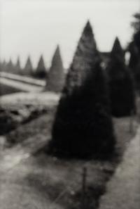 David Armstrong (1954-2014) Birches in Friedhof, Berlin; Shrubs at Versailles; and Building, Dresden, 1992-1993