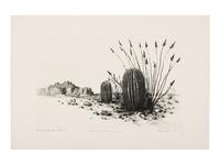 Two Works: Barrel Cactus, Arizona and Santa Catalina Mts, Tuscon, Arizona
