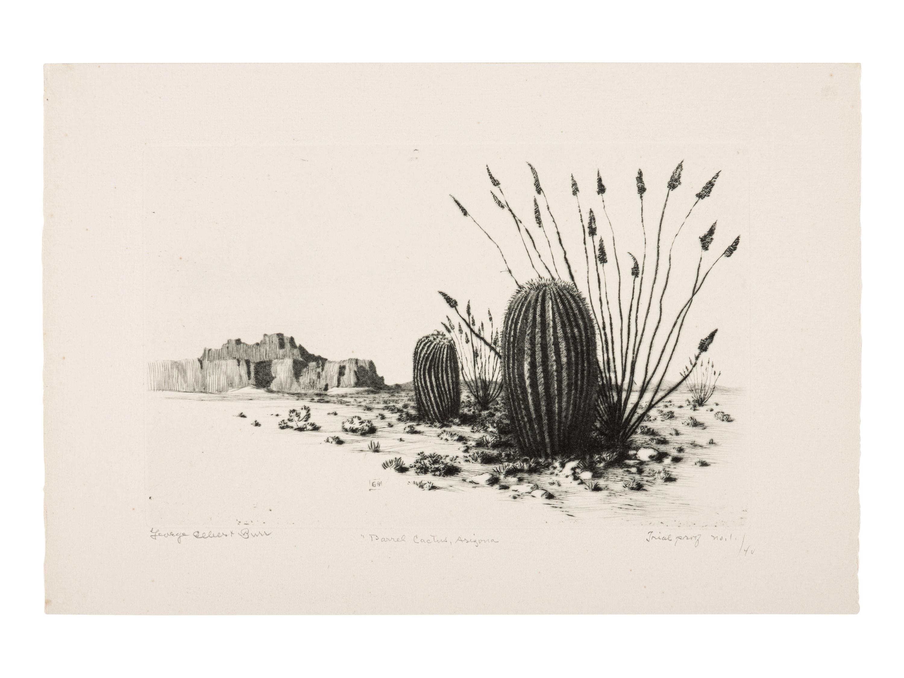 Two Works: Barrel Cactus, Arizona and Santa Catalina Mts, Tuscon, Arizona