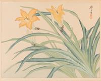Four Prints