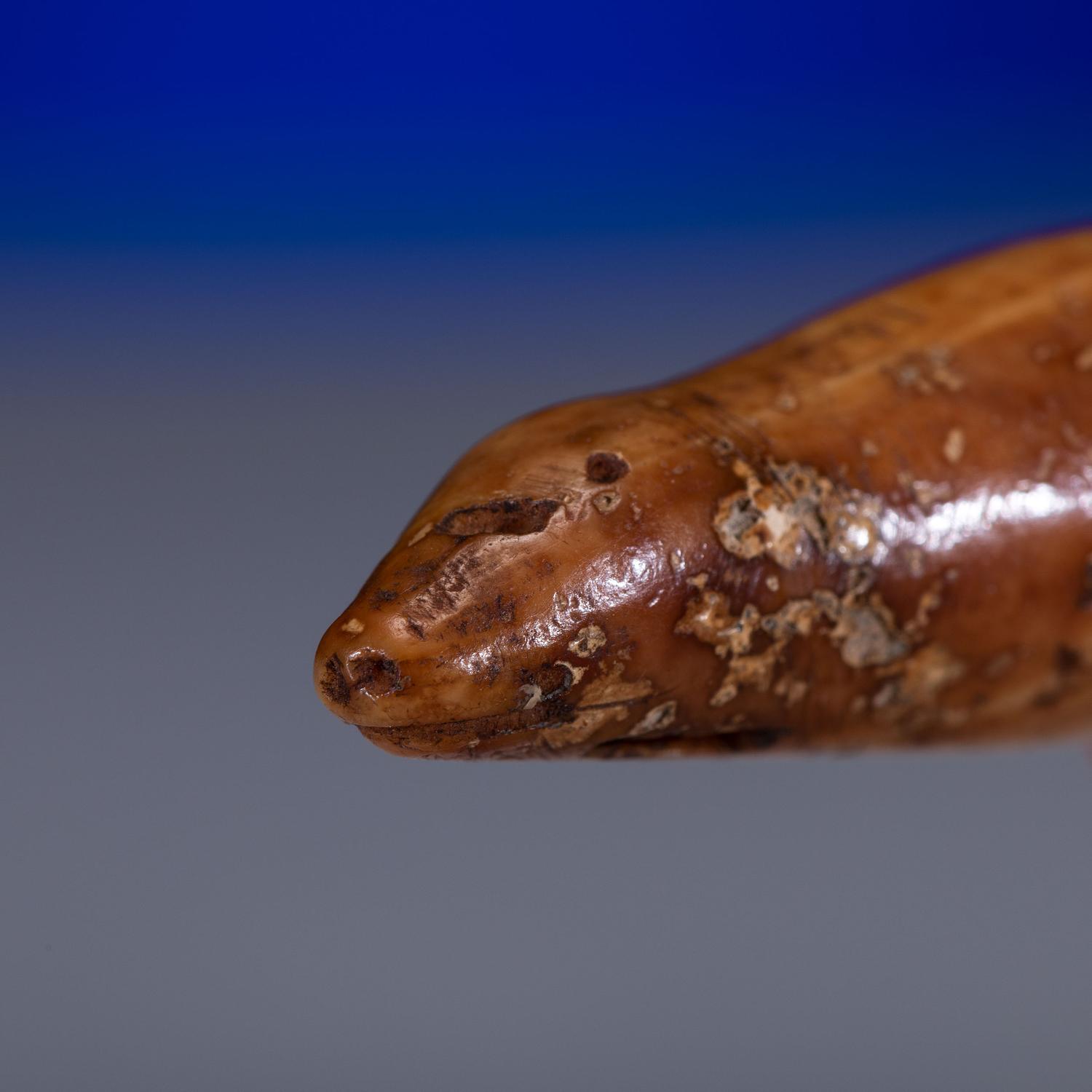 Iñupiat Fossilized Walrus Ivory Toggles