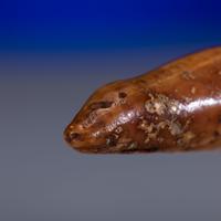 Iñupiat Fossilized Walrus Ivory Toggles
