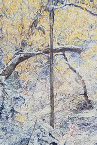 Santa Fe Aspens