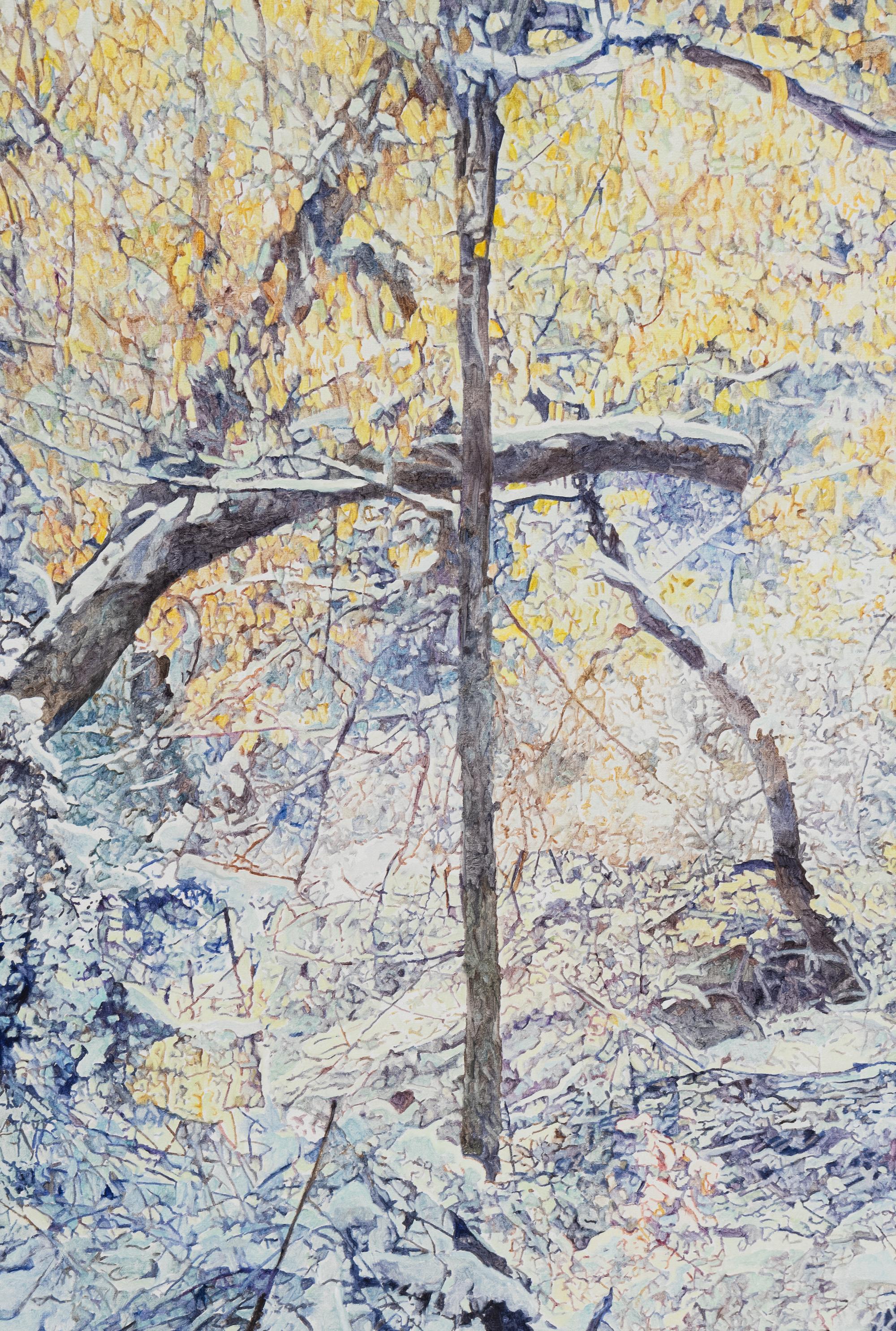 Santa Fe Aspens