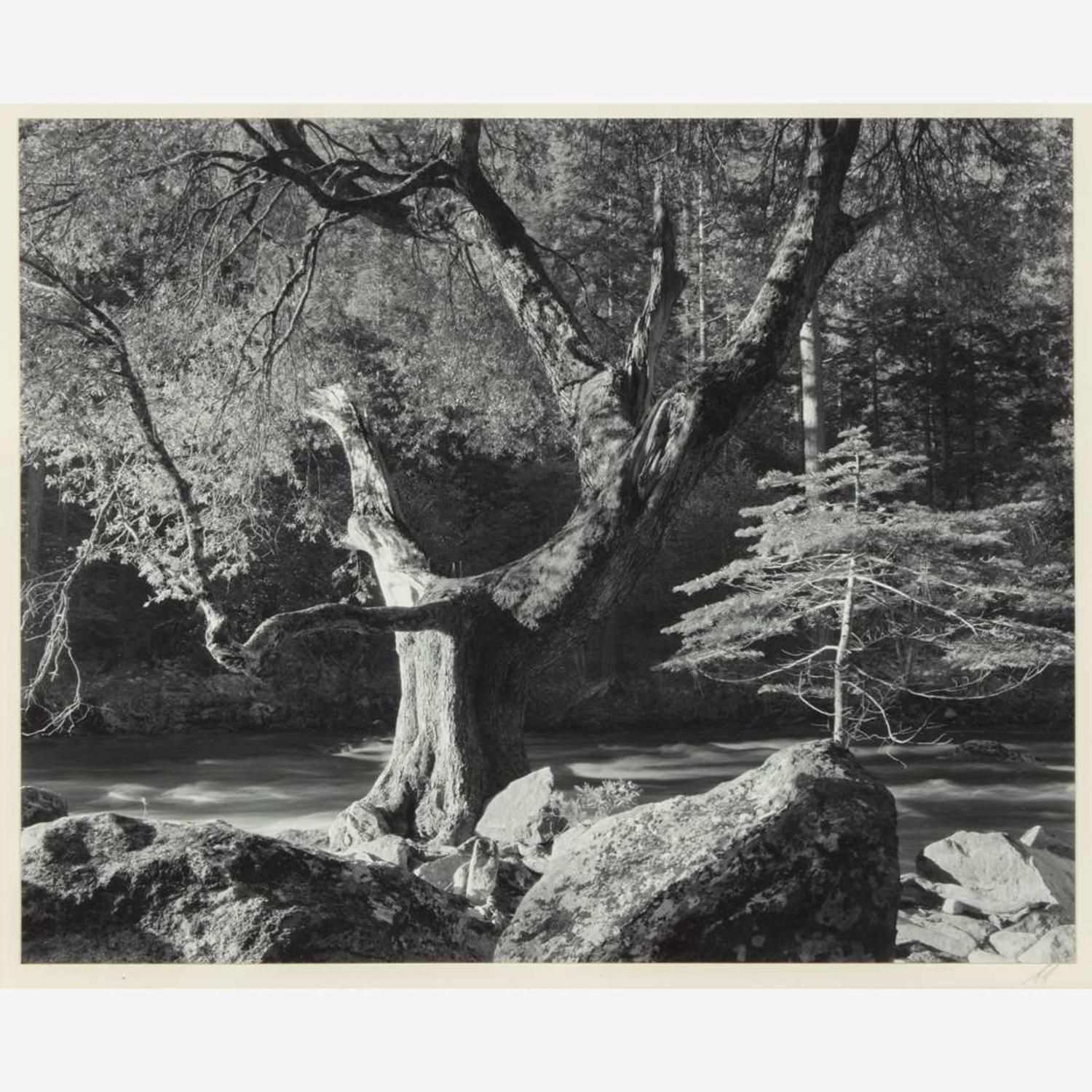 [Photography] Adams, Ansel Morning, Merced River Canyon, Yosemite National Park, California