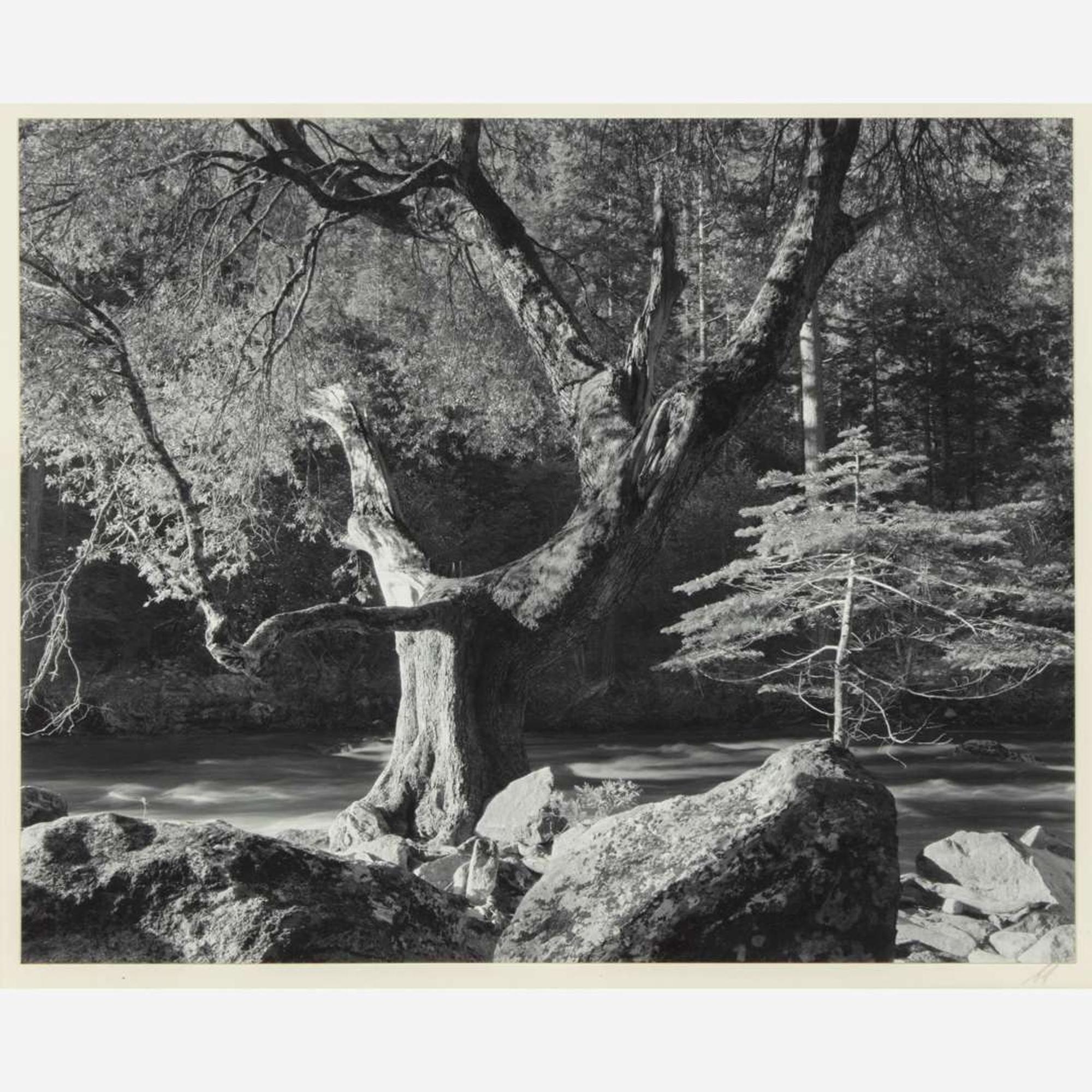 [Photography] Adams, Ansel Morning, Merced River Canyon, Yosemite National Park, California