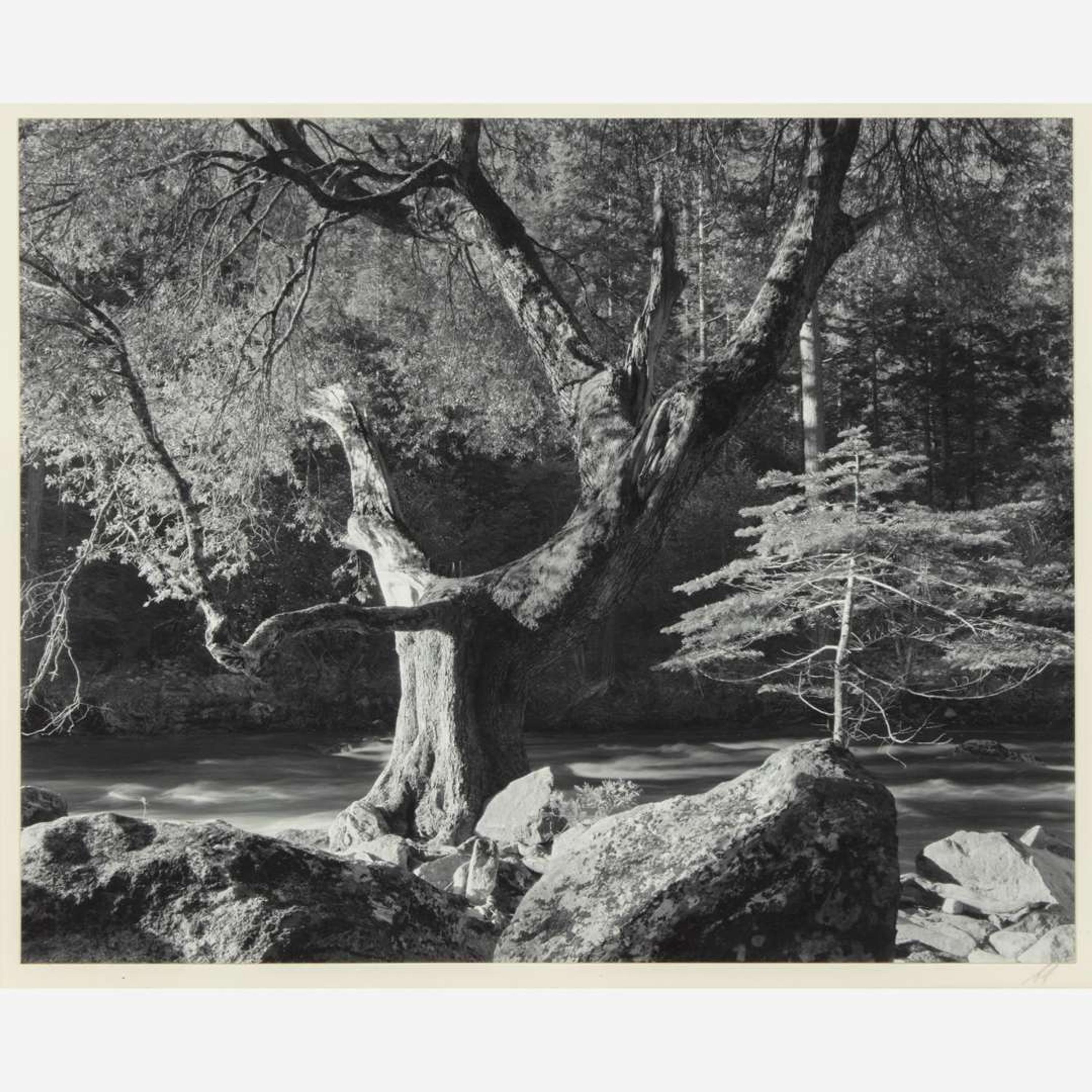 [Photography] Adams, Ansel Morning, Merced River Canyon, Yosemite National Park, California